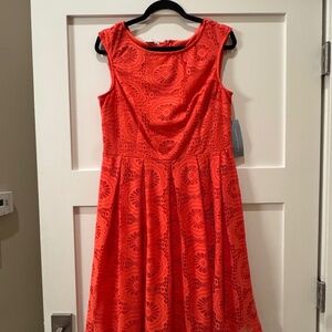 Great Orange Lace Dress